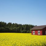 MAIN_iStock_000002100949_Large.jpg