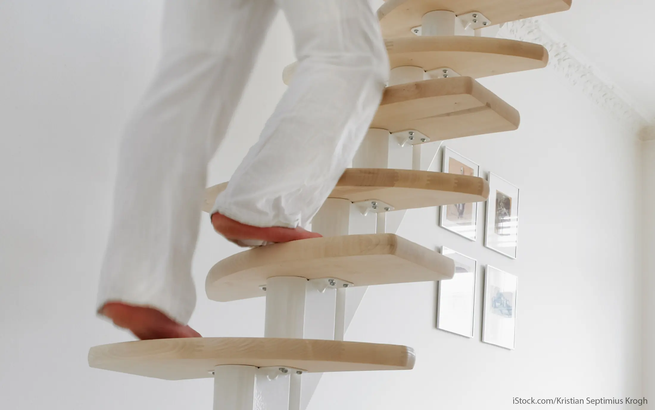 tiny ladders in tiny homes