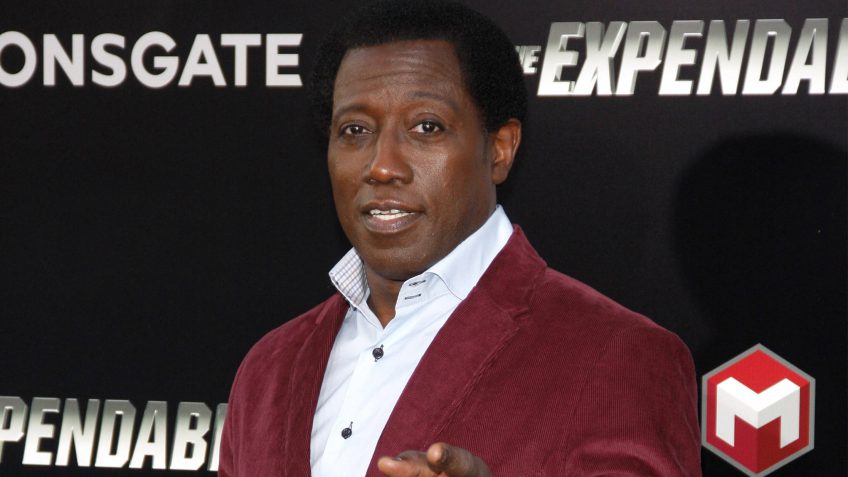 Wesley Snipes taxes