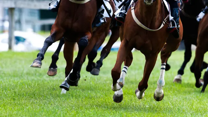 Animal Leg, Hoof, Horse Racing, Racehorse, Steeplechase Horse Racing on turf rounding corner - Stock image