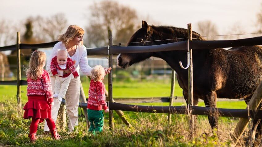 mom with three children feeding a horse on a farm
