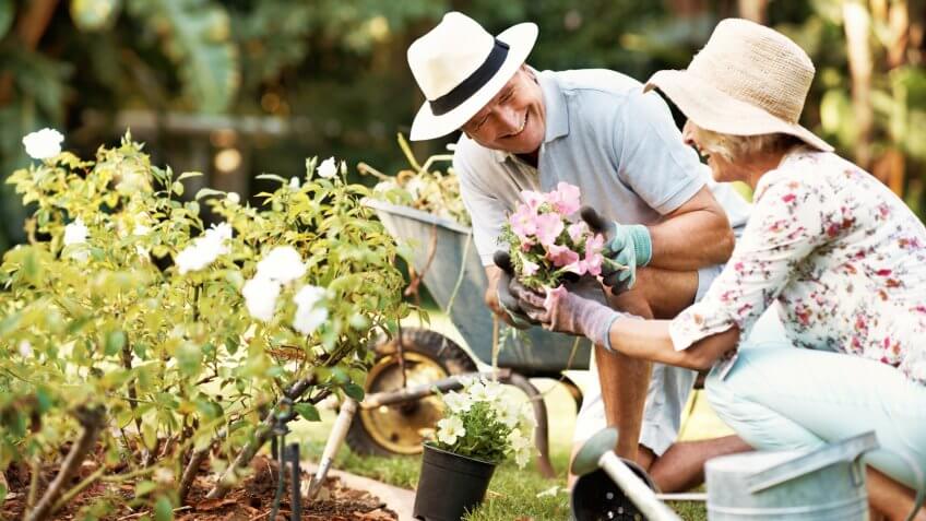Shot of a smiling senior couple gardening in their yard.