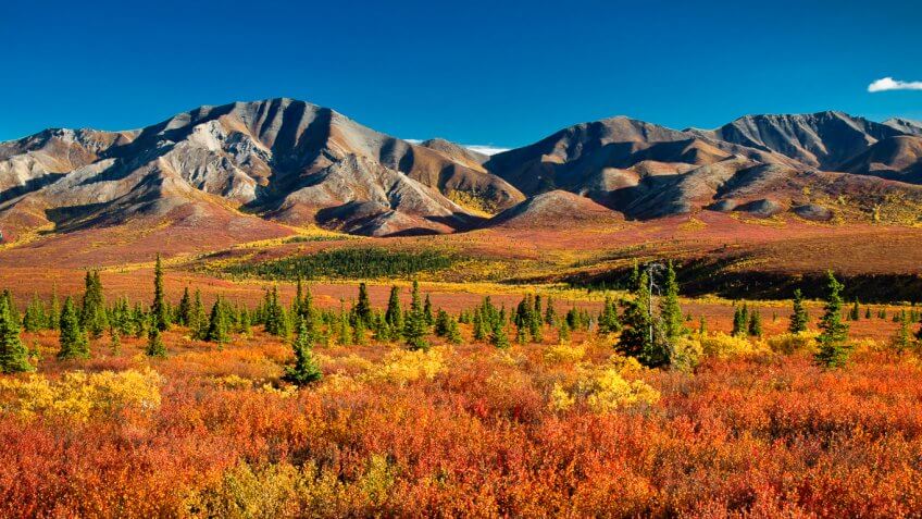 denali national park latino personals Craigslist provides local classifieds and forums for jobs, housing, for sale, services, local community, and events. denali national park latino personals Craigslist provides local classifieds and forums for jobs, housing, for sale, services, local community, and events.