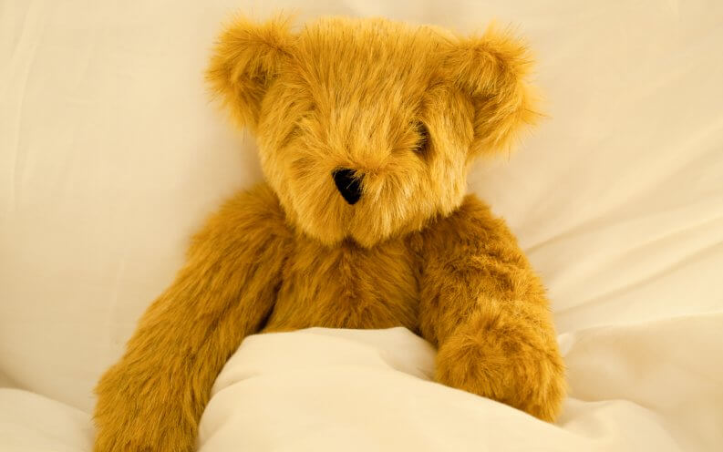 aldi teddy bear