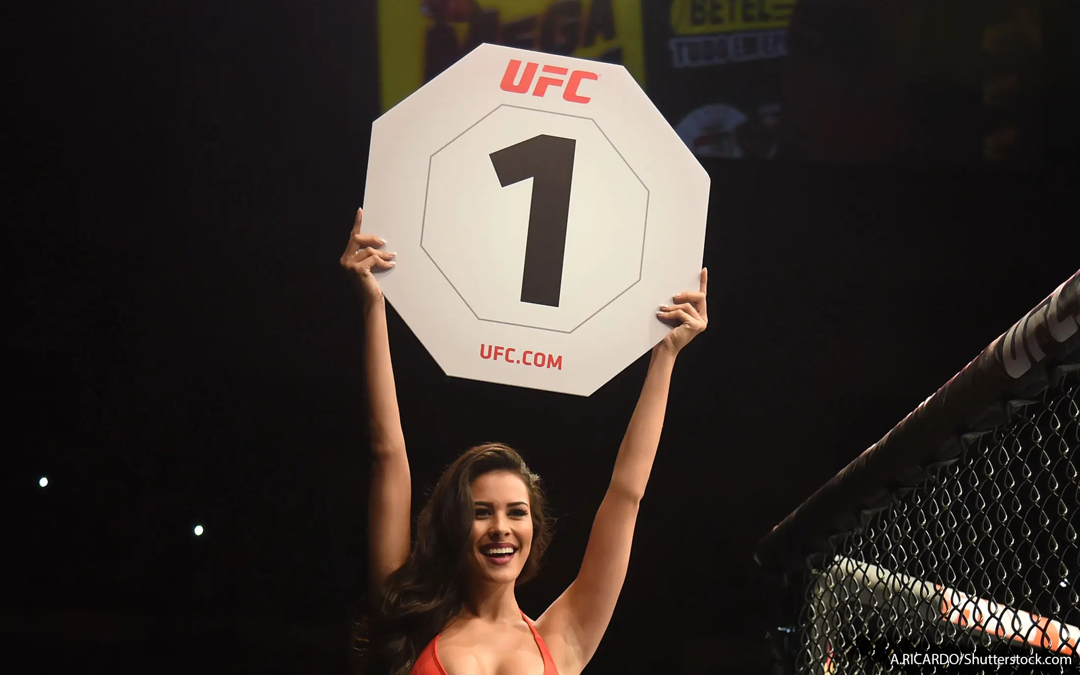 UFC Fight Night