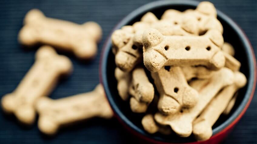 10 Items You Should Never Get at the Dollar Store, Animal, Baked, Biscuit, Brown, Bunch, Canine, Close-up, Cookie, Crockery, Dark, Dog, Dog Biscuit, Dog Bone, Dog Food, Feeding, Focus On Foreground, Food, Full, Group Of Objects, Heap, High Angle View, Image Focus Technique, No People, Pet Food, Pet Food Dish, Pets, Soft Focus, Still Life, Studio Shot, Table, color image, copy space, food and drink, freshness, horizontal, indoors, photography, selective focus