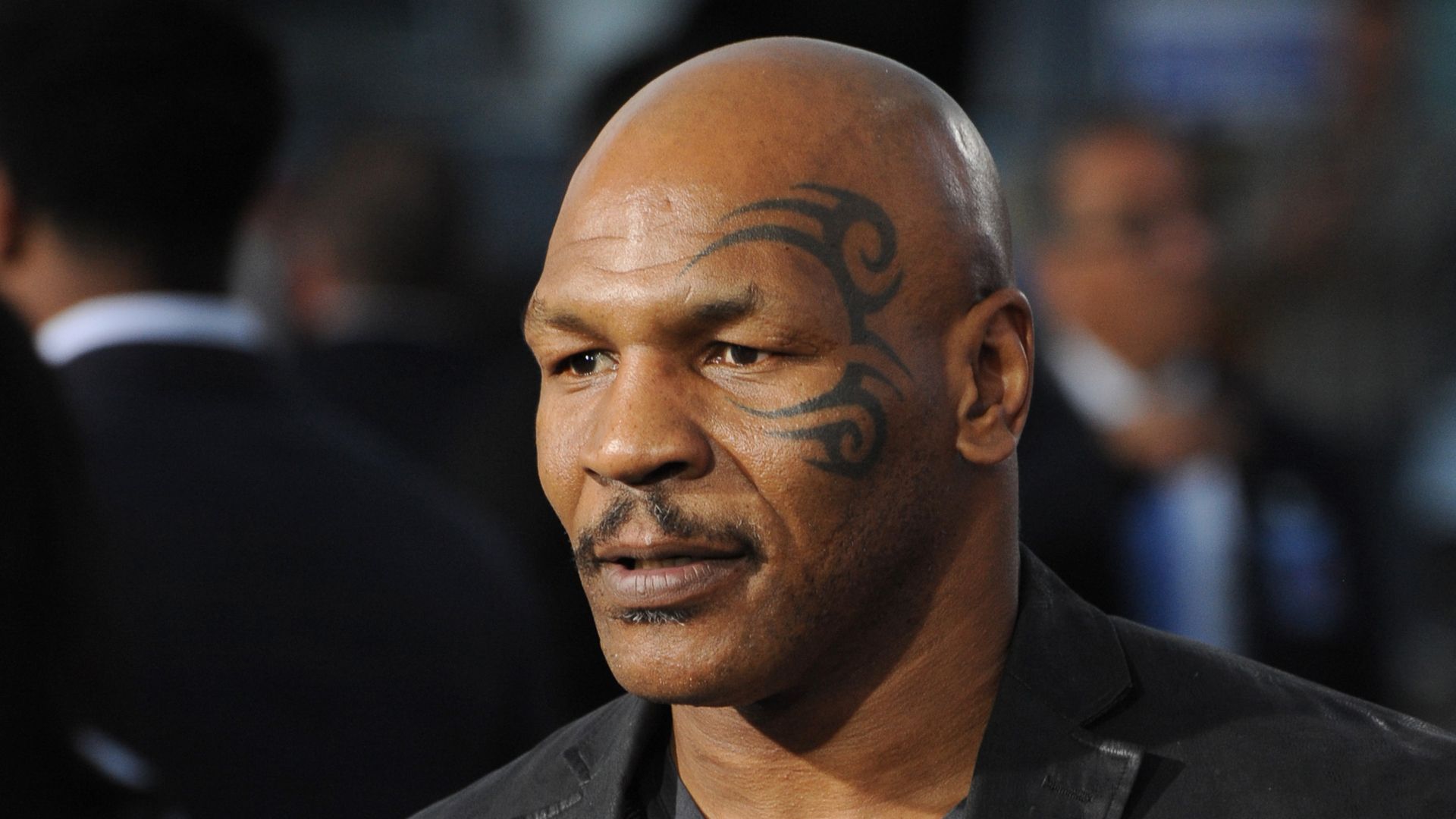 Тайсон рождение. Тайсон. Mike Tyson. Майк Тайсон фото. Тайсон Грин.