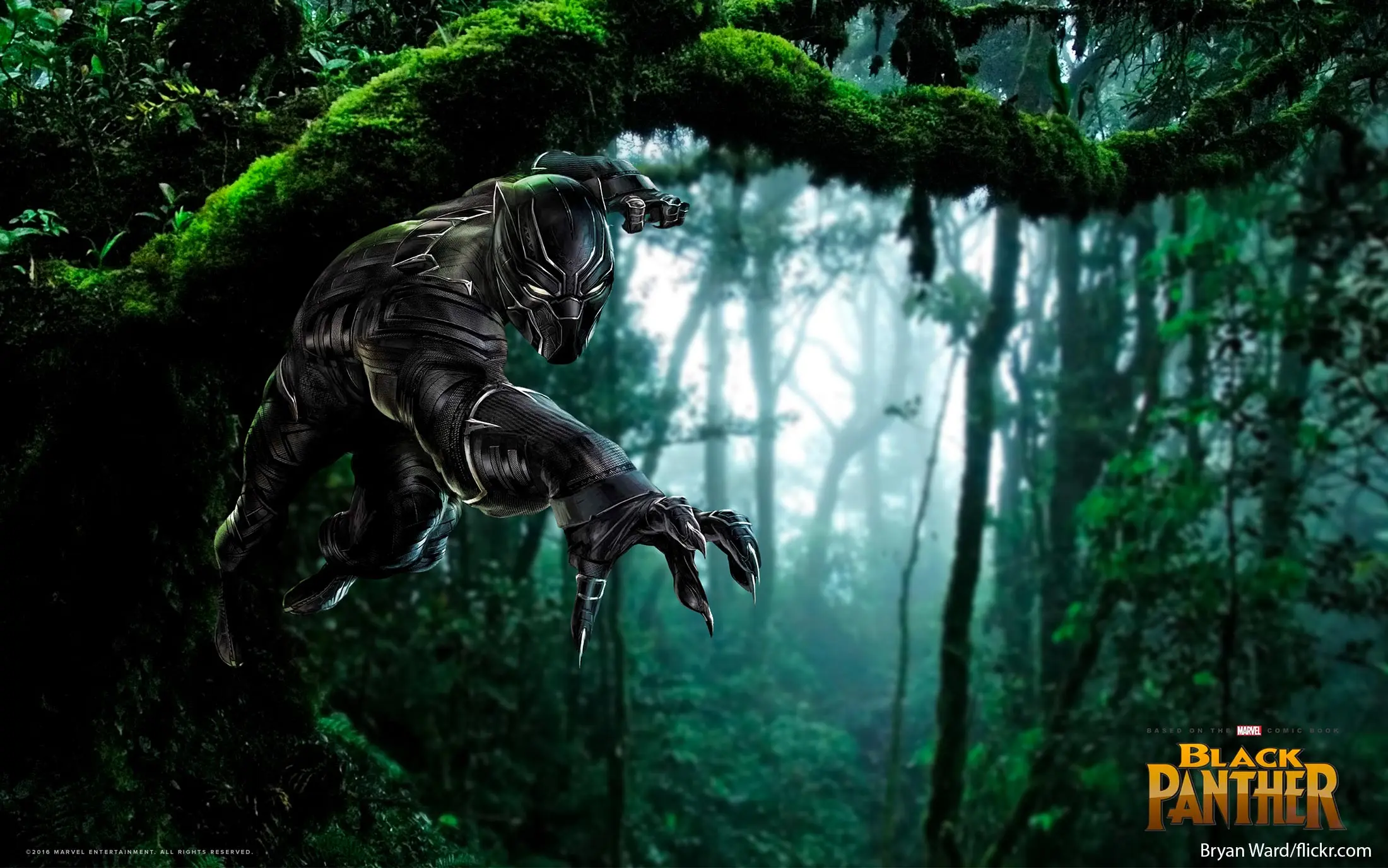 black panther