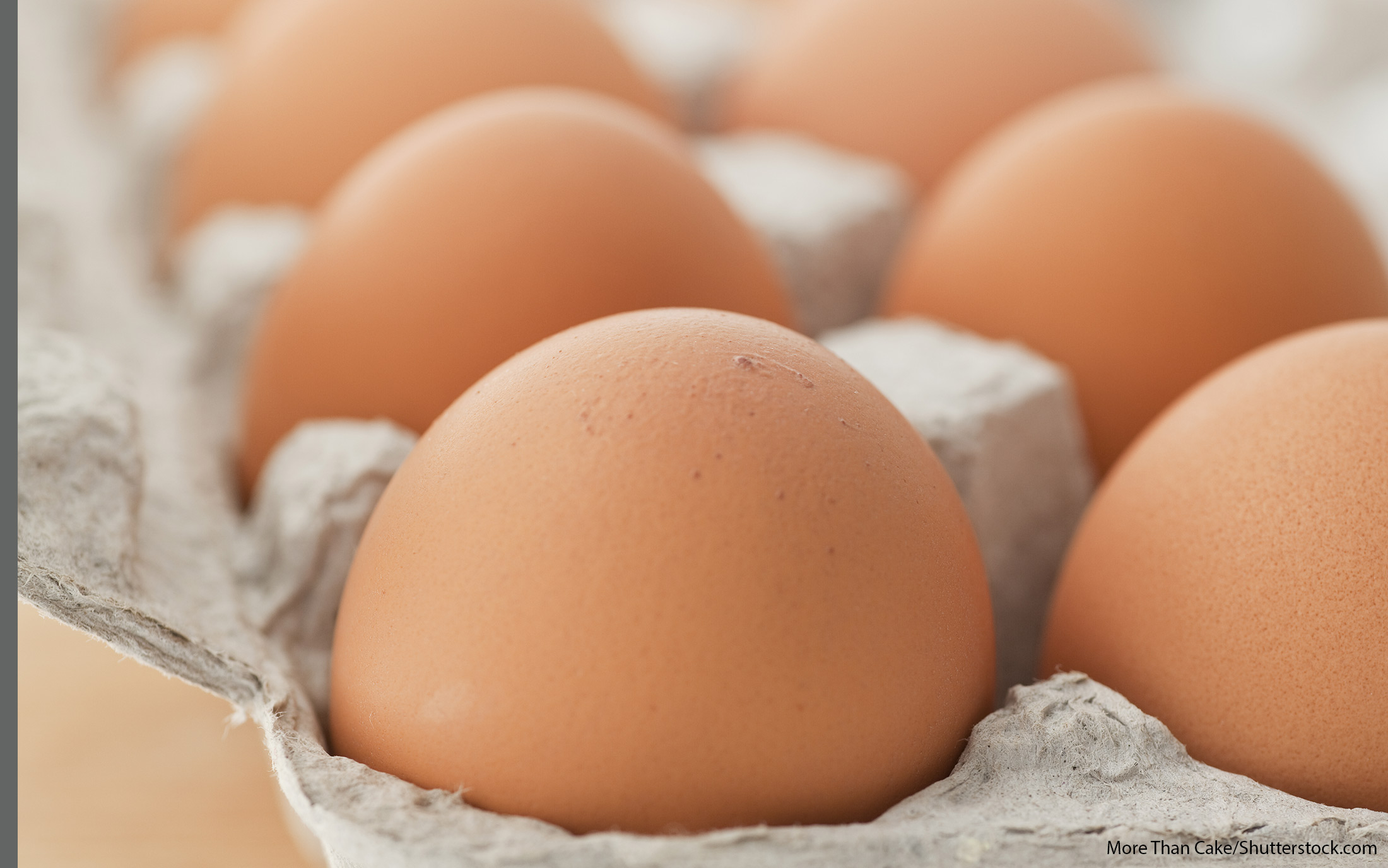 Best Deals at Costco