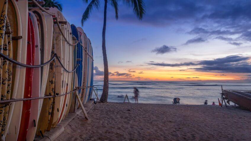 Hawaii sunset palm trees ocean surfboards