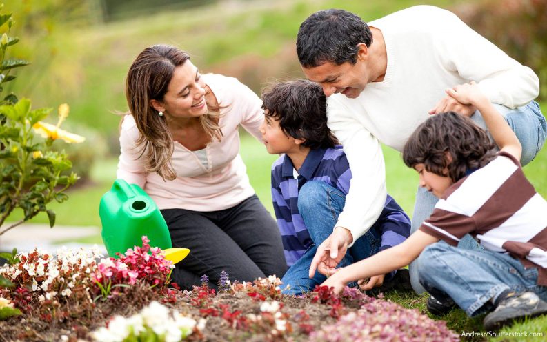 landscaping ideas landscaping ideas