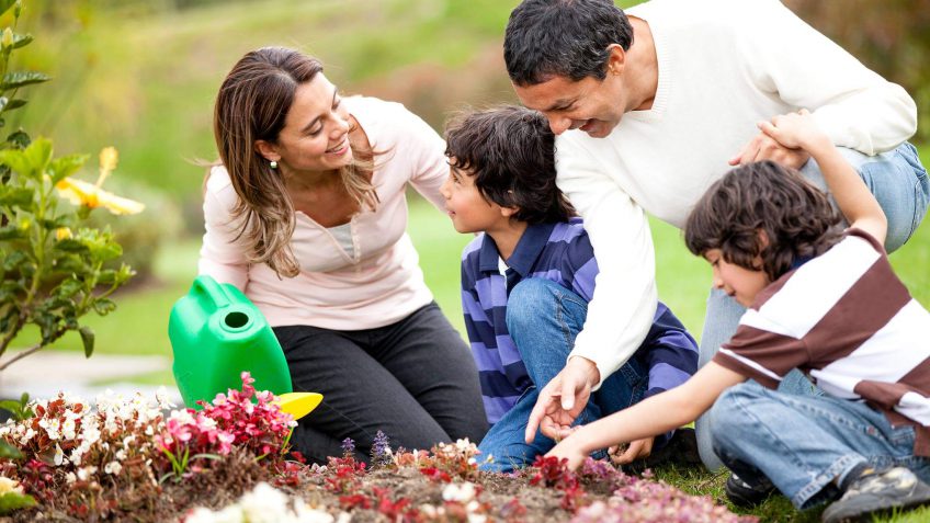 landscaping ideas landscaping ideas