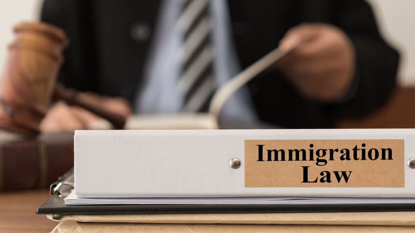 Trump wants to deport all undocumented immigrants. immigration law binder