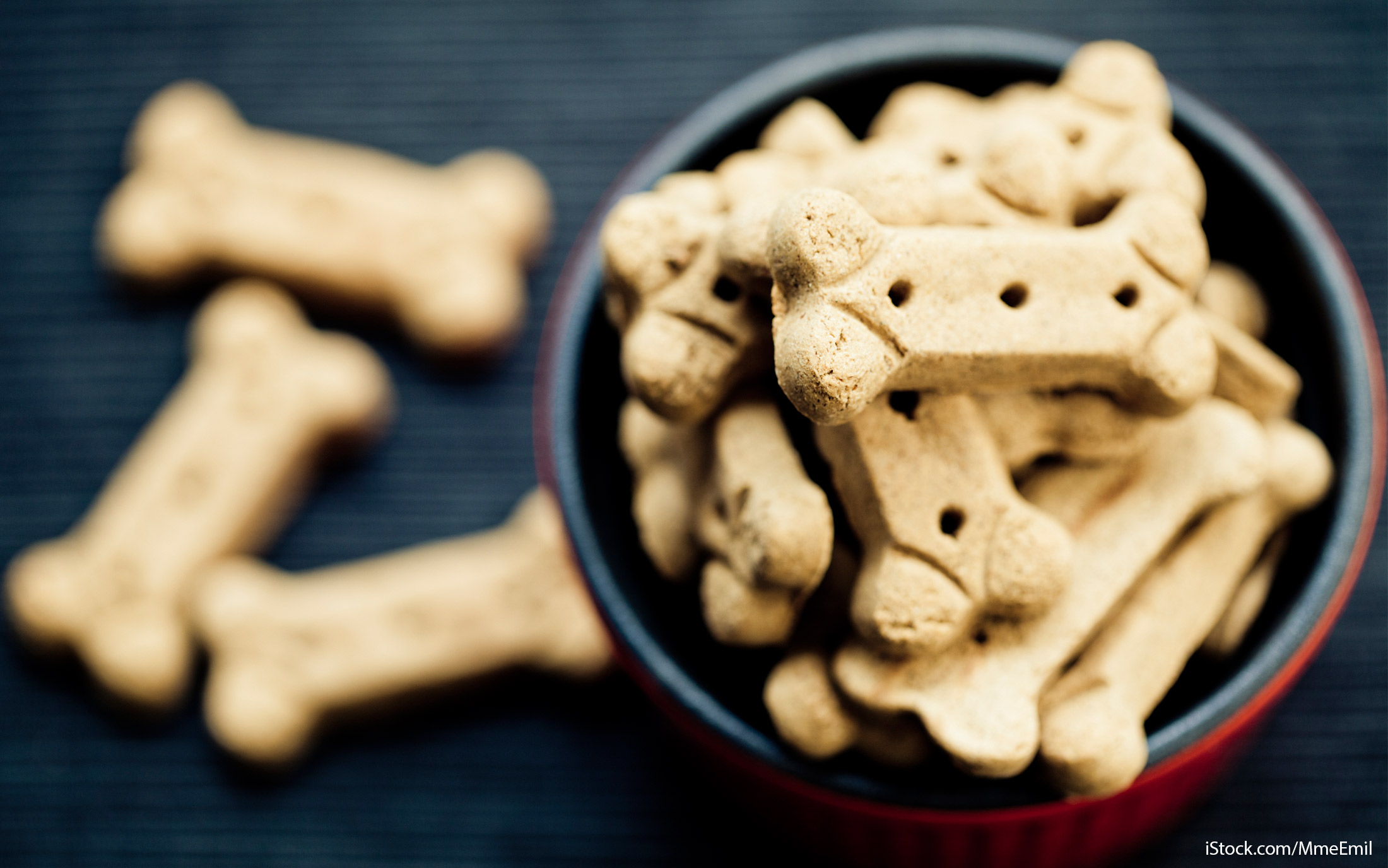 10 Items You Should Never Get at the Dollar Store GOBankingRates