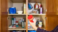 I’m a Frugal Shopper: 10 Items You’ll Always Find in My Pantry