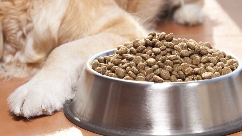 dog food in a metal bowl