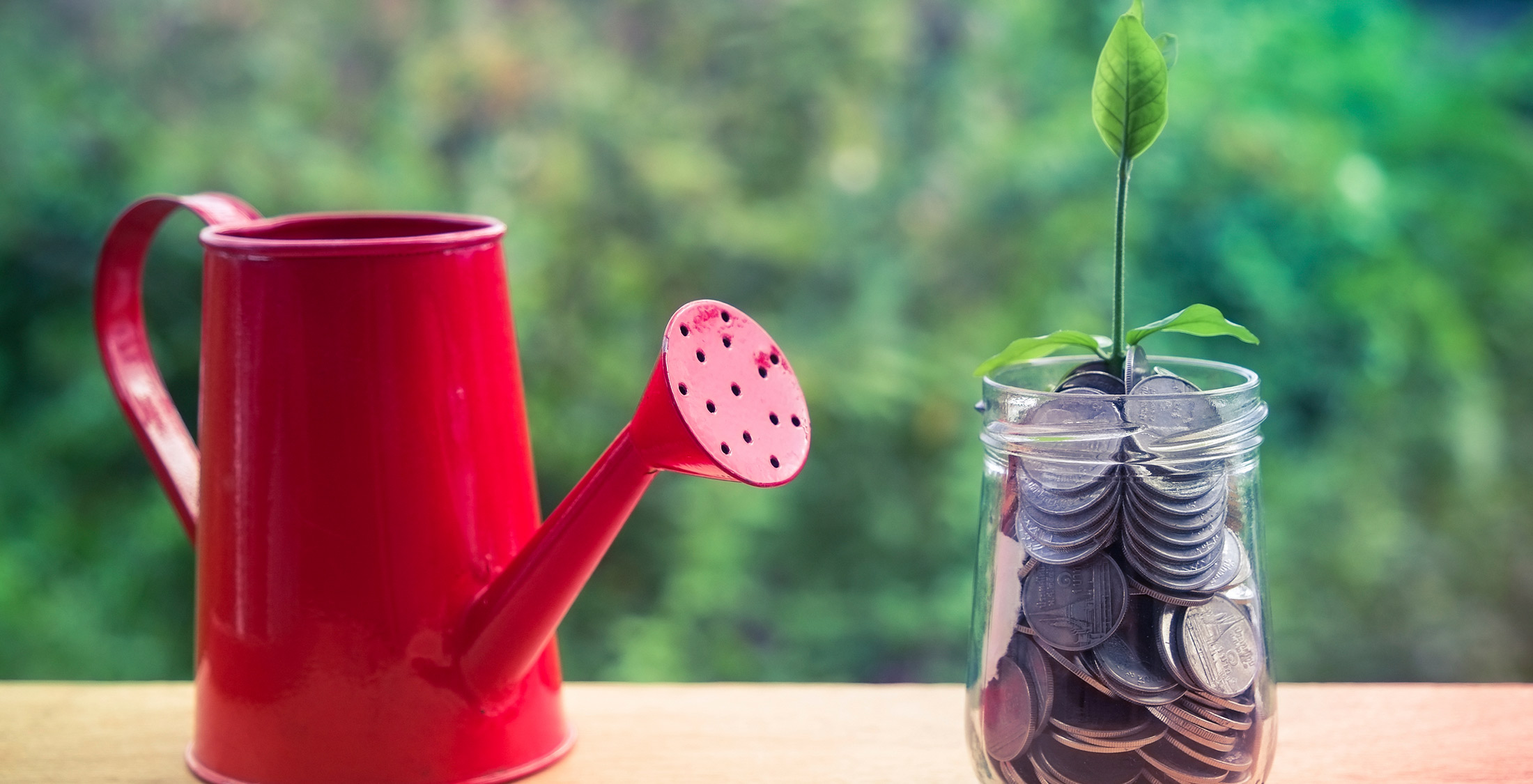 frugal secret to wealth