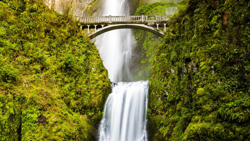 Oregon paying off debt Oregon paying off debt