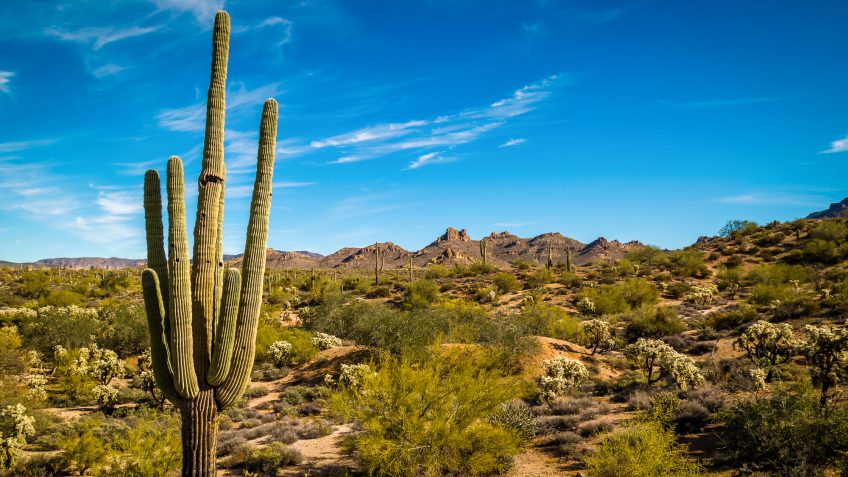 saving money Arizona saving money Arizona