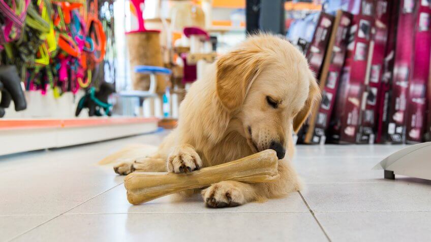 overspending on pets overspending on pets