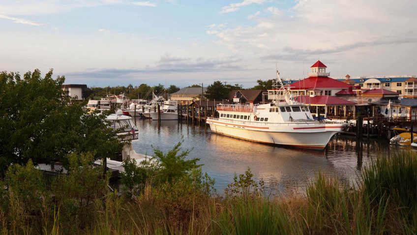 delaware richer life delaware richer life
