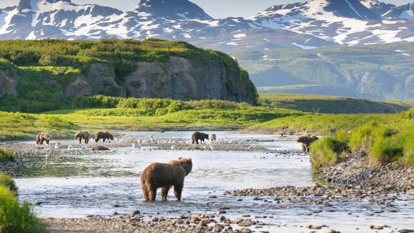 Alaska salaries Alaska salaries