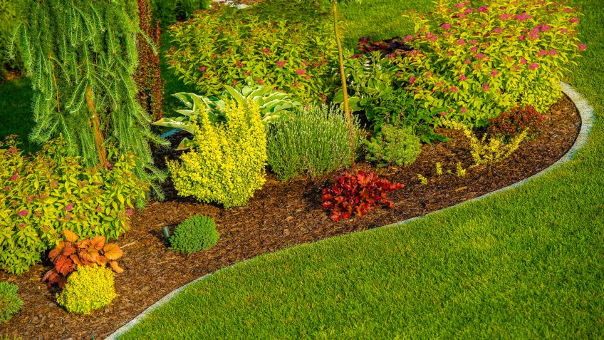 landscaping costs landscaping costs