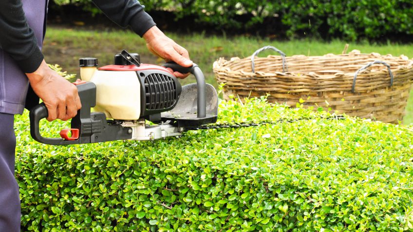 landscaping maintenance costs landscaping maintenance costs