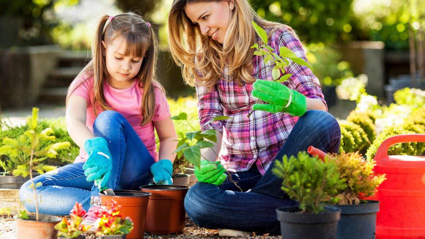 plant some flowers plant some flowers
