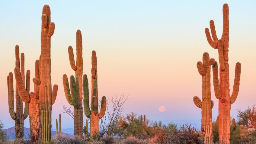 Tucson, Arizona. Tucson, Arizona.
