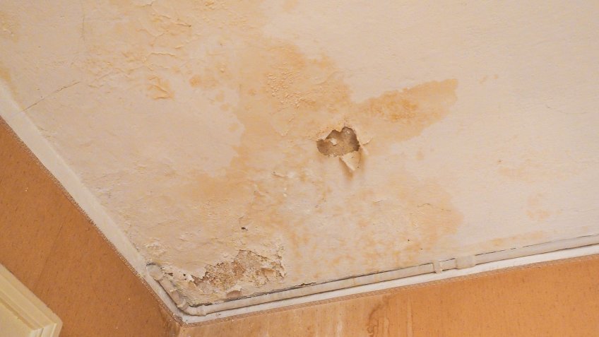 Image result for Tell-Tale Signs That Indicate a Mold Infestation