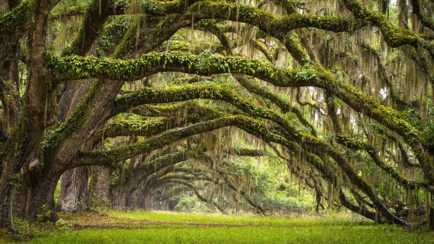 South Carolina. South Carolina.