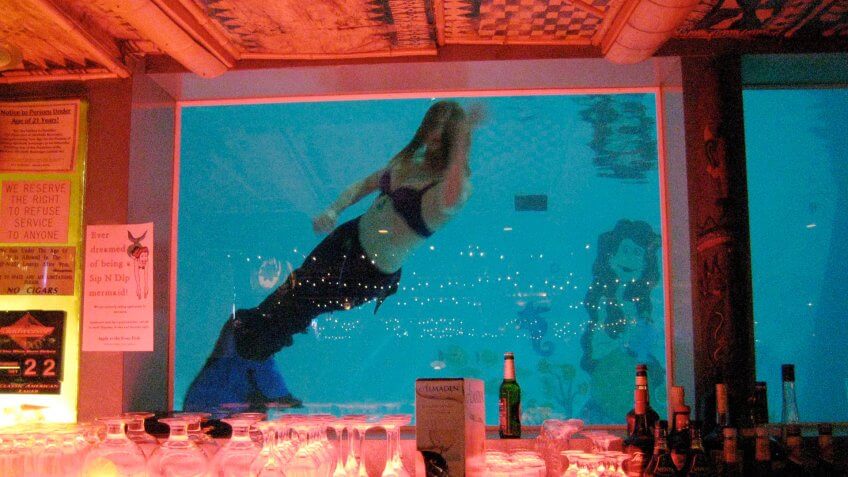 12207, Be a Mermaid or Merman
