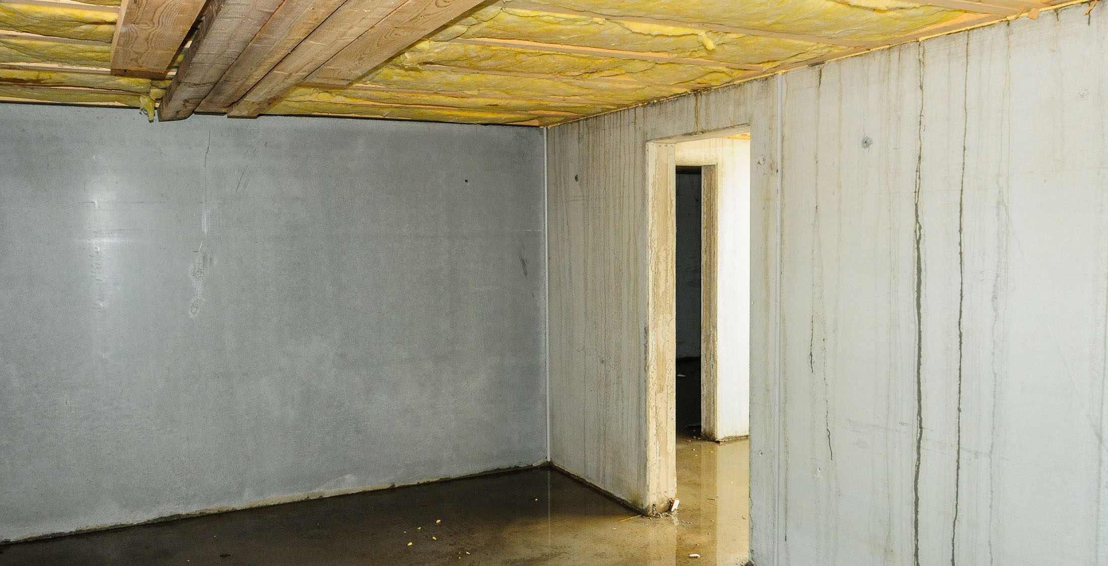 flooded basement