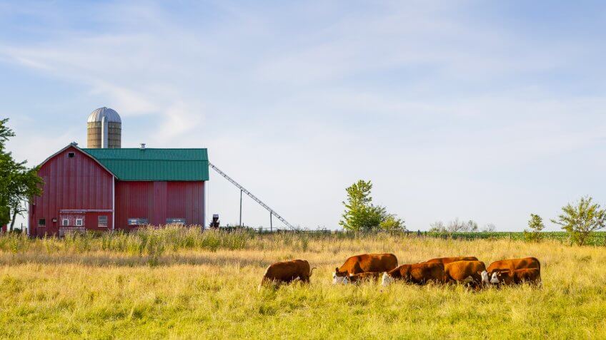 Wisconsin. Wisconsin.