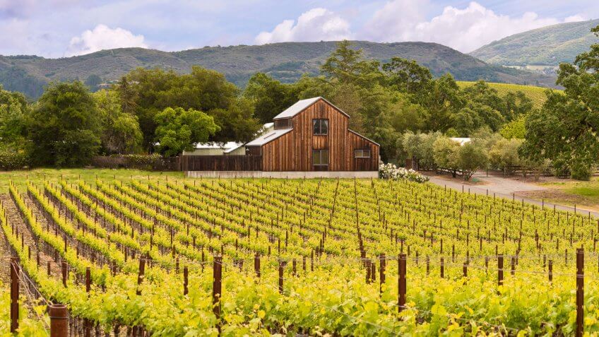 Napa-Valley