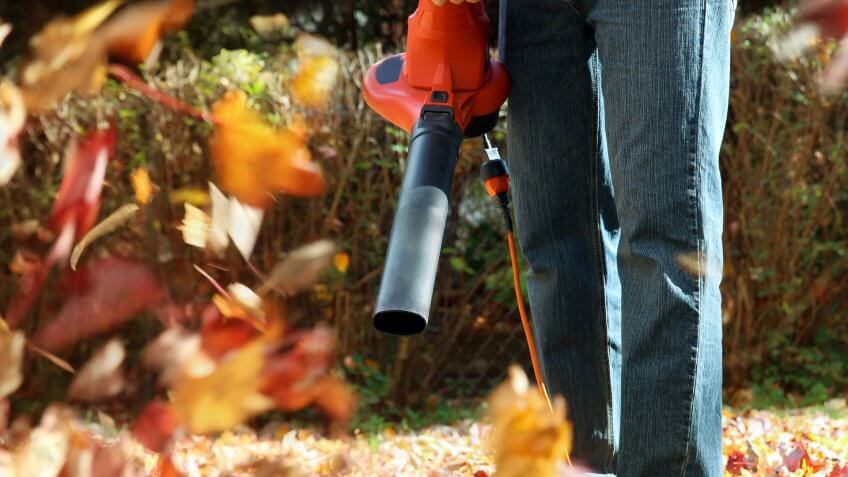 leaf-blower-Saklakova-