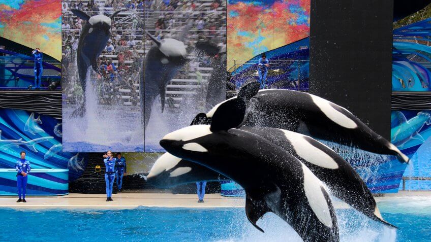 SeaWorld