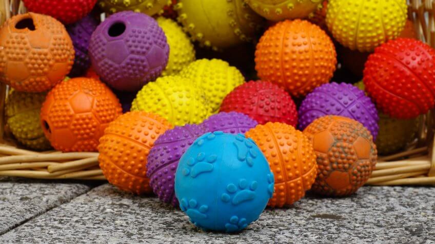 Pet Toys