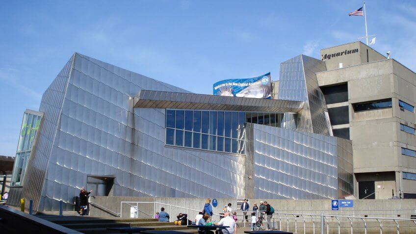 New-England-Aquarium