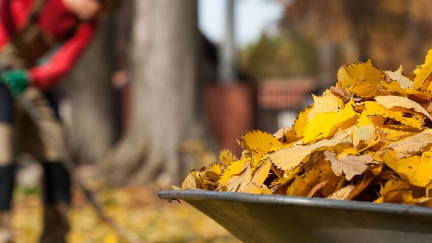 Offer your services to the property. raked leaves in wheelbarrow