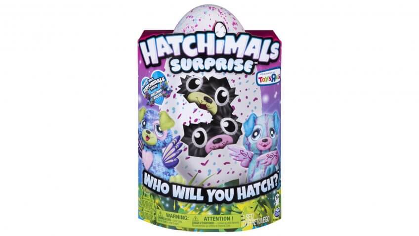 Hatchimals Surprise.