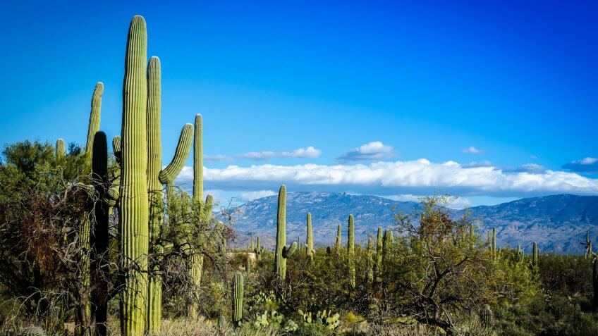 Arizona Auto Loan Rates Arizona Auto Loan Rates