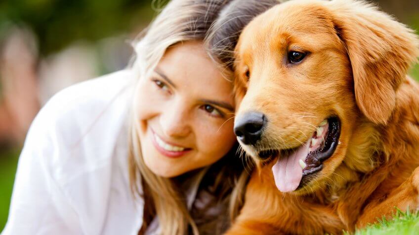Pets
