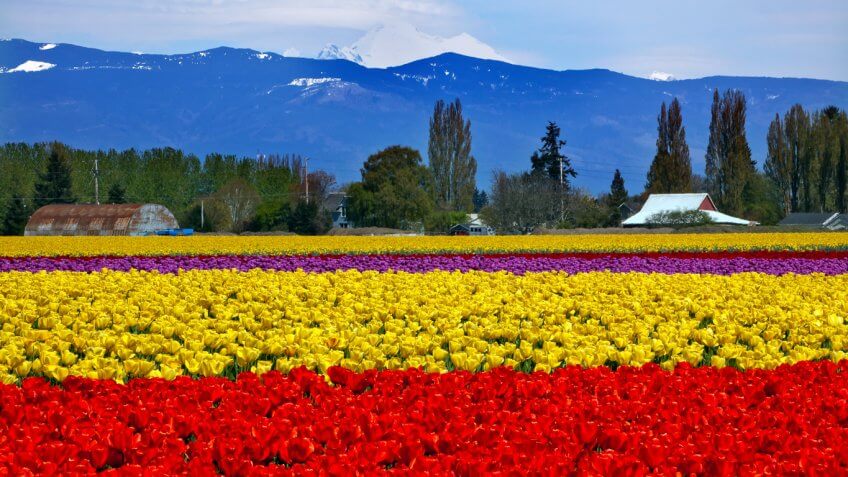 Washington Auto Loan Rates Washington Auto Loan Rates