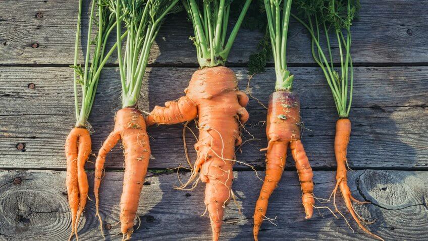 Ugly Produce