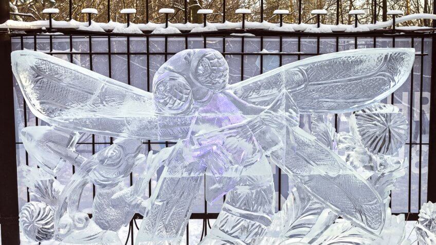 ice sculpture of a winged insect