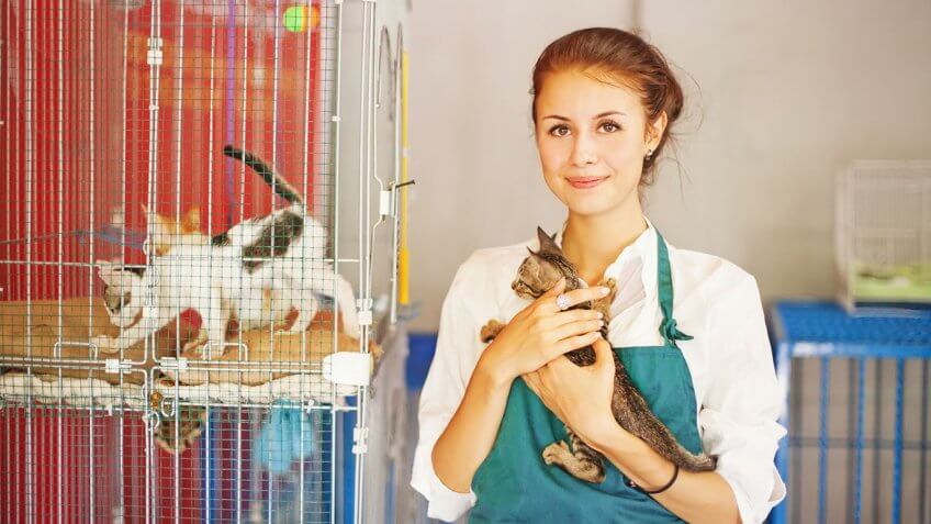 Animal Care Service Worker
