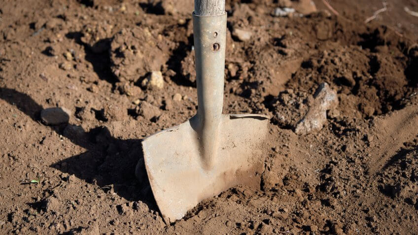 Put Down the Shovel