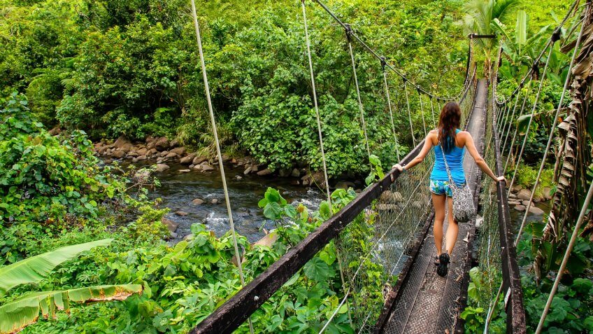 Fiji Rainforest